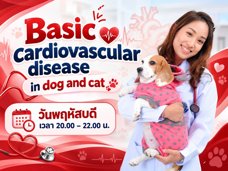 Basic cardiovascular disease in dog and cat