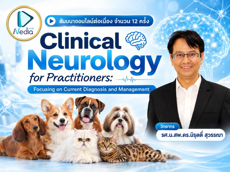 Clinical Neurology for Practitioners