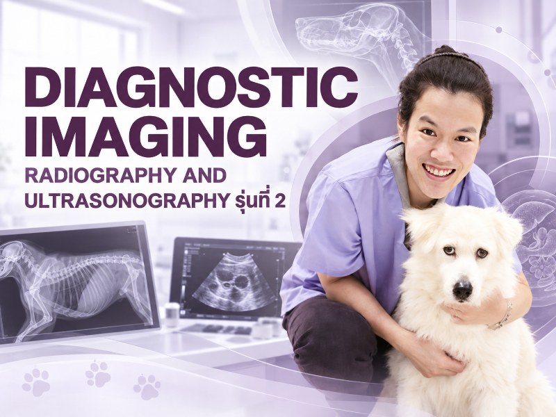 Diagnostic Image 2