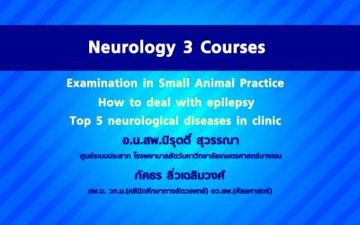 Neurology 3 Courses