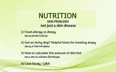 ป้องกัน: SKIN PROBLEMS not just a skin disease