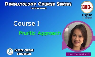 Course I : Pruritic approach