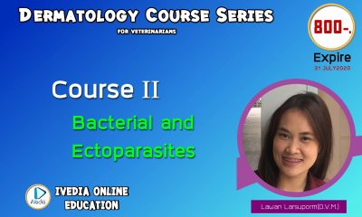 Course II : Bacterial and ectoparasite