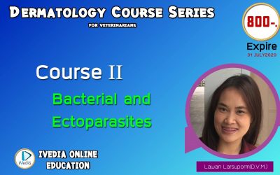 Course II : Bacterial and ectoparasite