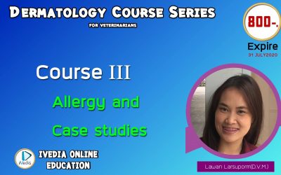 Course III : Allergy and Case Studies