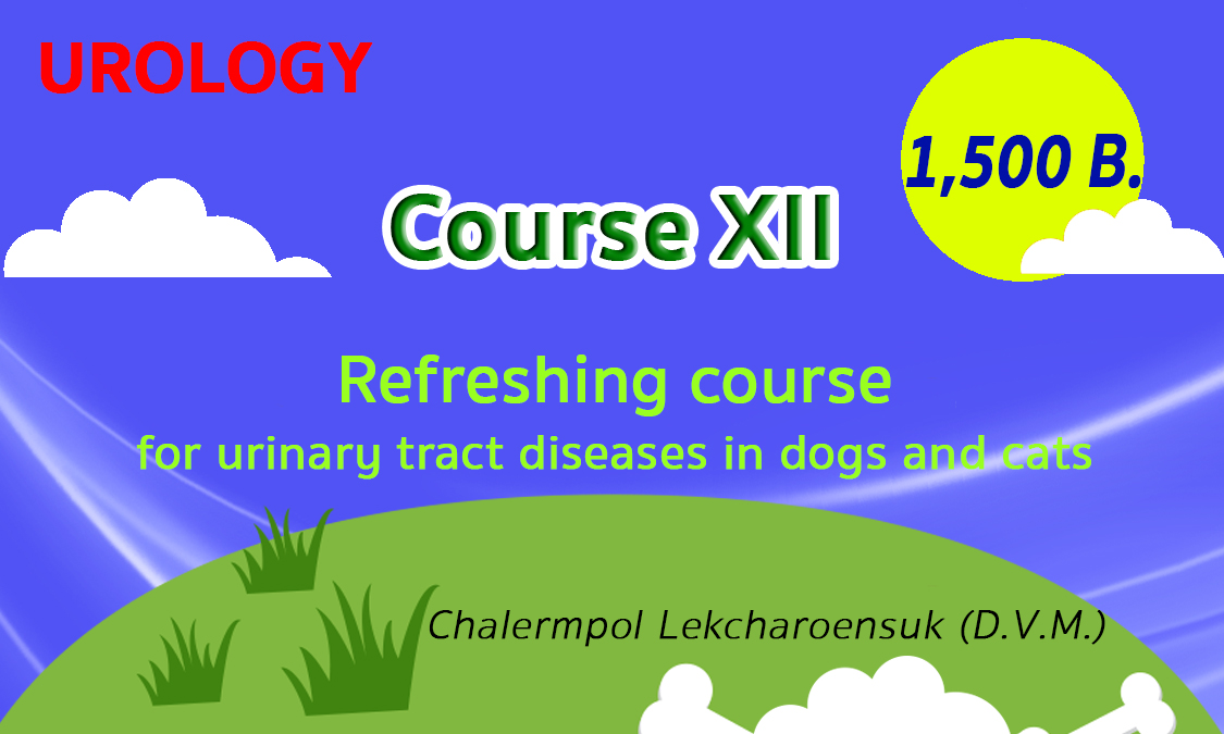 Urology-Course12