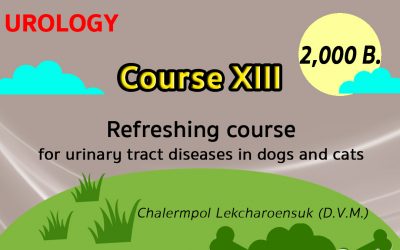 (COURSE XIII) Refreshing course for urinary tract diseases in dogs and cats