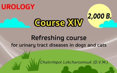 (COURSE XIV) Refreshing course for urinary tract diseases in dogs and cats
