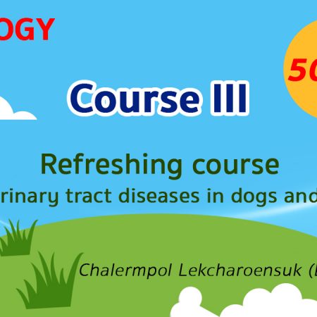 (COURSE III) Refreshing course for urinary tract diseases in dogs and cats