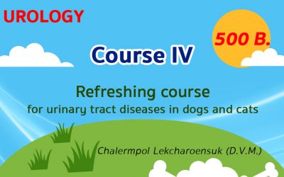 (COURSE IV) Refreshing course for urinary tract diseases in dogs and cats