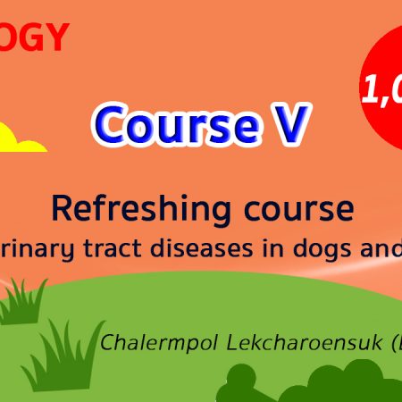 (COURSE V) Refreshing course for urinary tract diseases in dogs and cats