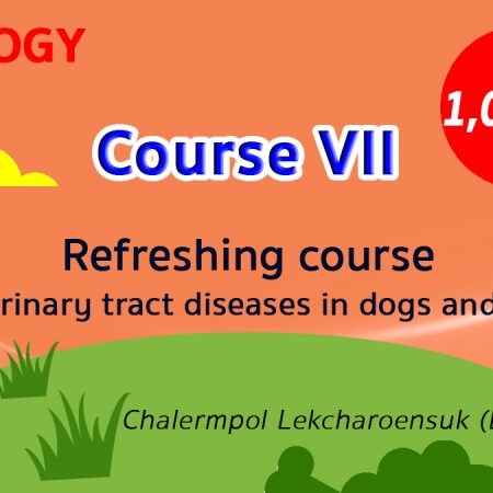(COURSE VII) Refreshing course for urinary tract diseases in dogs and cats