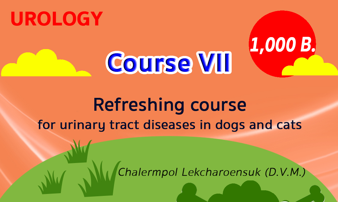 Urology-Course7