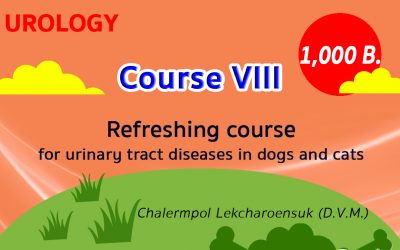(COURSE VIII) Refreshing course for urinary tract diseases in dogs and cats