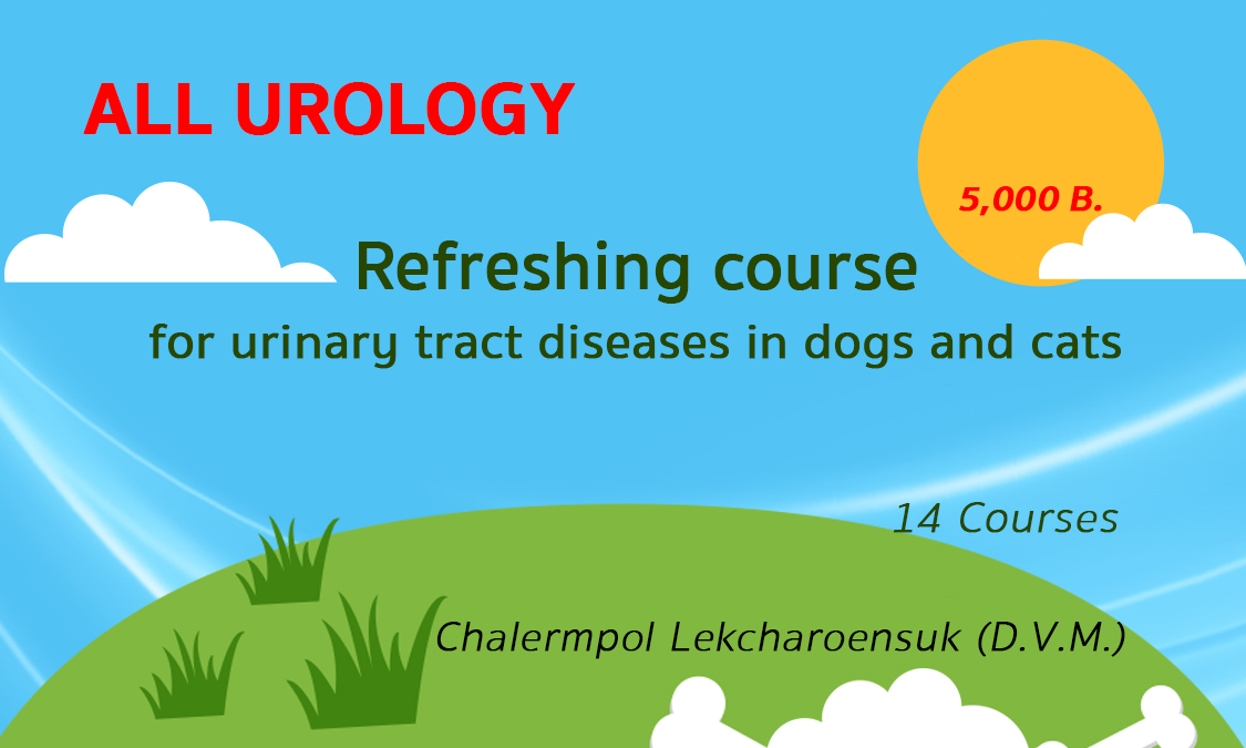urology urology