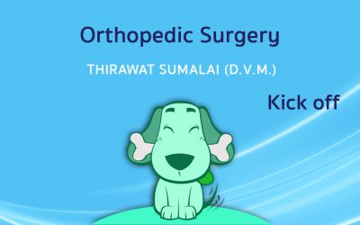 Kick off in Orthopedic Surgery