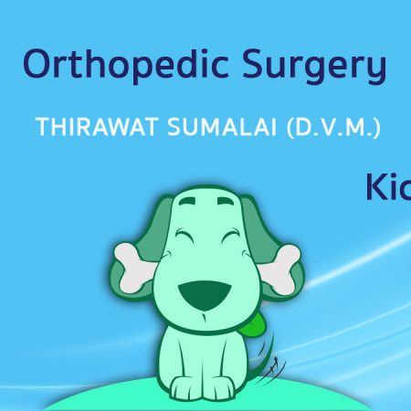Kick off in Orthopedic Surgery