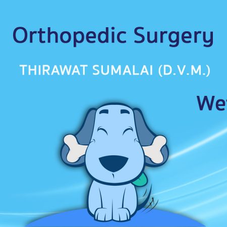 Orthopedic Surgery (Wet lab) I