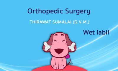 Orthopedic Surgery (Wet lab) II