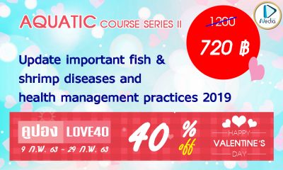 AQUATIC COURSE SERIES II