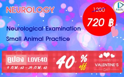 Neurological Examination in Small Animal Practice