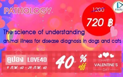 The science of understanding animal illness for disease diagnosis in dogs and cats