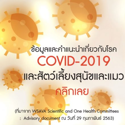 COVID-19 WSAVA by VET KU