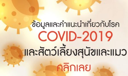 COVID-19 WSAVA by VET KU