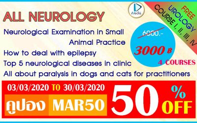 All Neurology 4 Courses