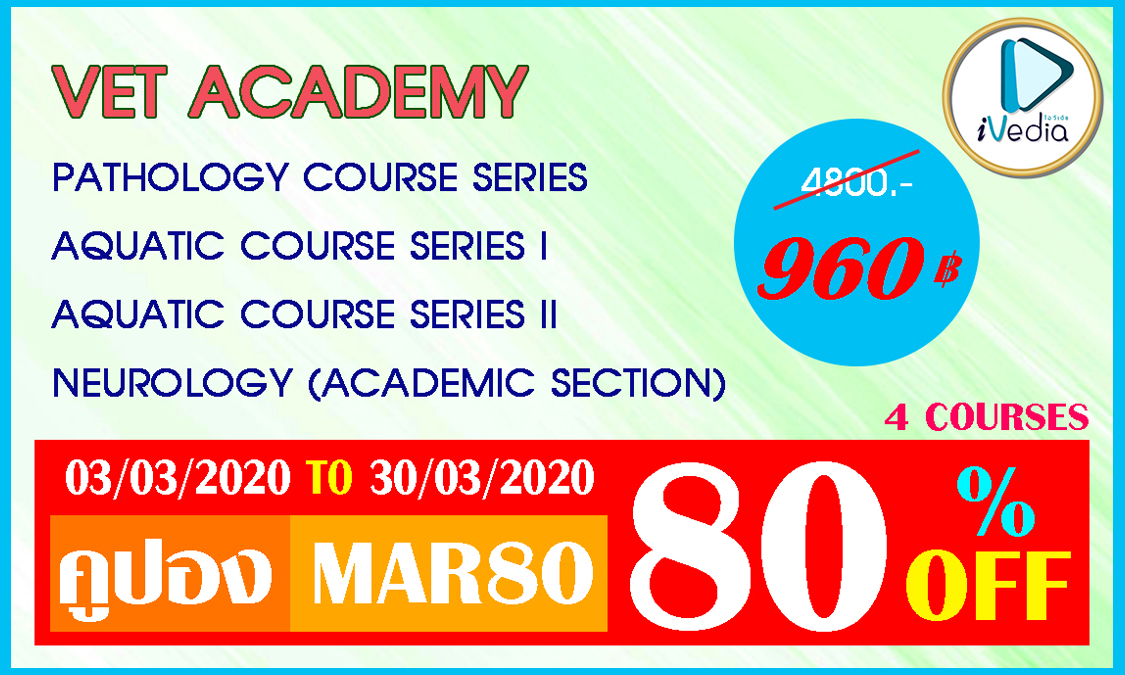 VET-ACADEMY VET-ACADEMY