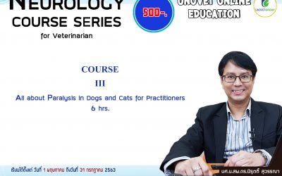 COURSE III All about paralysis in dogs and cats for practitioners (UN)