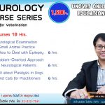 Neurology 3 Courses (UN)
