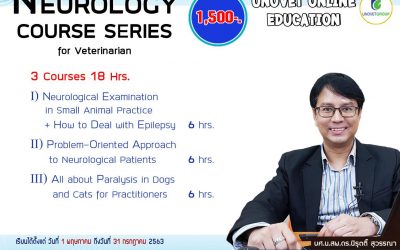 Neurology 3 Courses (UN)