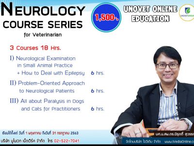 Neurology 3 Courses (UN)