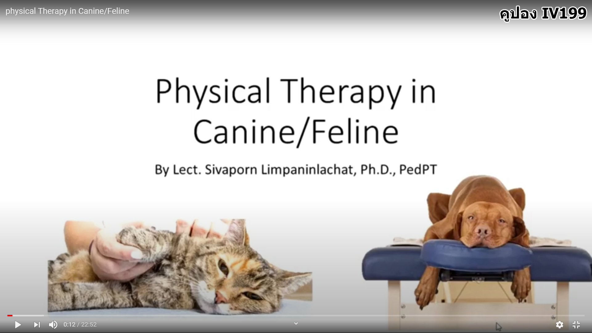 Physical Therapy in Canine Feline