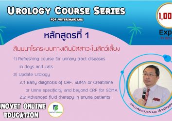 Urology course series (UN)