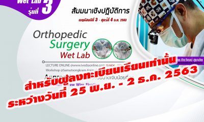 Orthopedic Surgery (Wet Lab) III