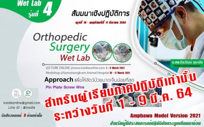 ป้องกัน: Orthopedic Surgery (Wet Lab) IV