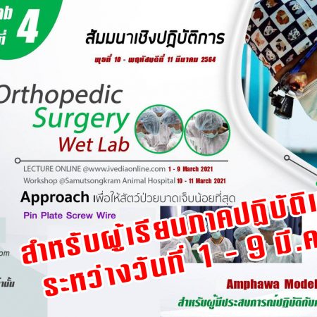 ป้องกัน: Orthopedic Surgery (Wet Lab) IV