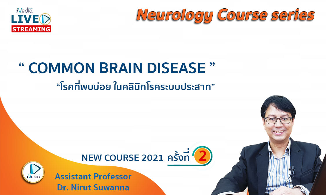 Common brain diseases in dogs and cats