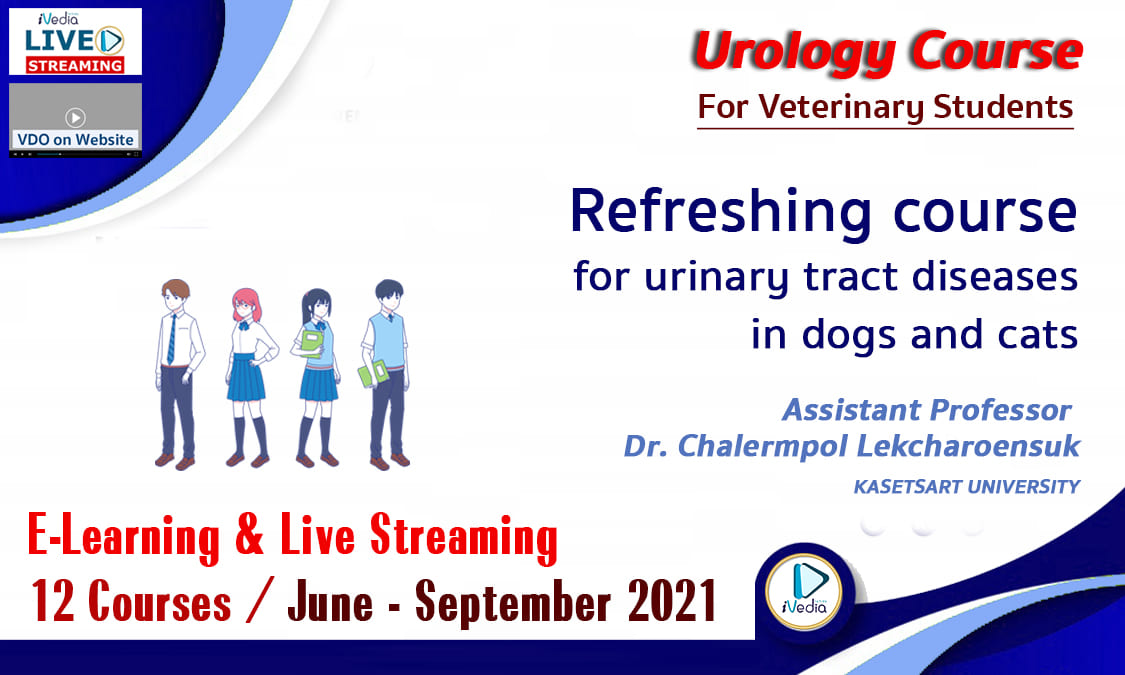 ปกคอร์ส-VetAcademy2021-BG-01 ปกคอร์ส-VetAcademy2021-BG-01