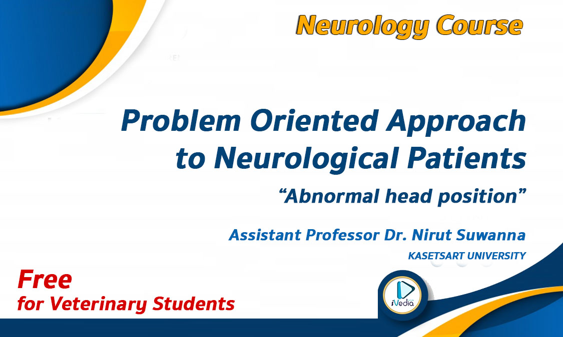 ปกคอร์ส-VetAcademy2021-NEUROLOGY-NIRUT ปกคอร์ส-VetAcademy2021-NEUROLOGY-NIRUT