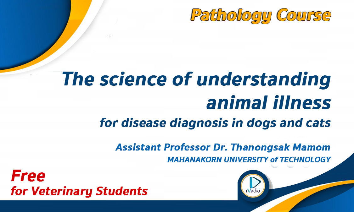 ปกคอร์ส-VetAcademy2021-Pathology ปกคอร์ส-VetAcademy2021-Pathology