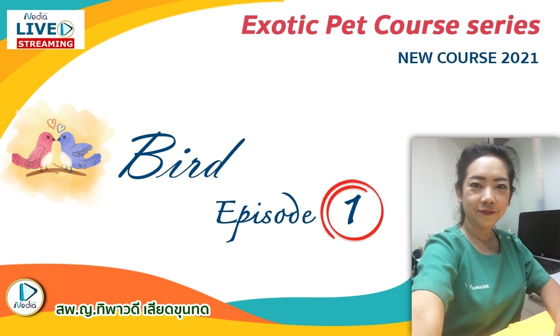 Bird Episode 1