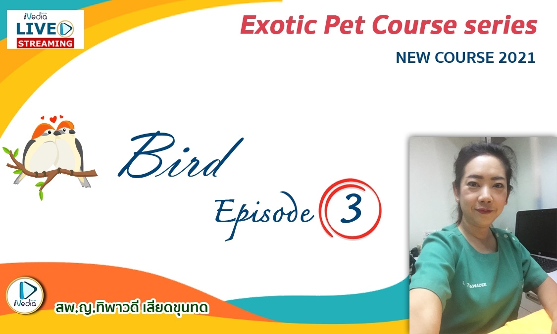 Bird Episode 3