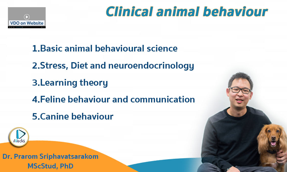 Animal behaviour course series 2021