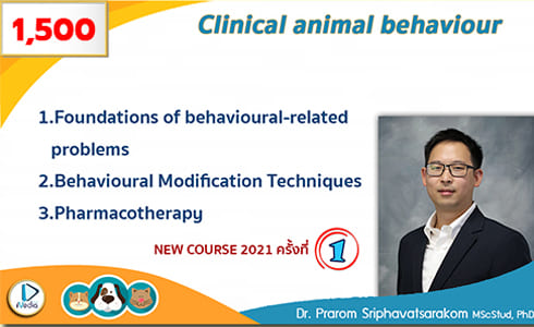 ANIMAL BEHAVIOUR 2021