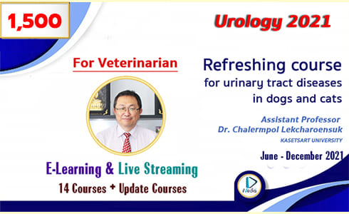 UROLOGY 2021