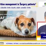 5 WAYS TO CARE FOR YOUR DOG AFTER SURGERY นายสัตวแพทย์ถิรวัฒน์ สุมาลัย