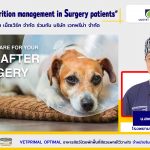 5 WAYS TO CARE FOR YOUR DOG AFTER SURGERY นายสัตวแพทย์ถิรวัฒน์ สุมาลัย